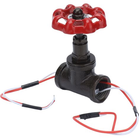 Interrupteur Rétro Style Steampunk G3/4 avec Fils pour Lampe Robot Industriel 12V 120V