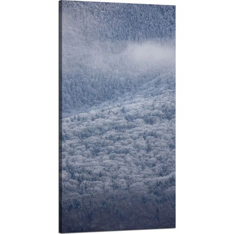 Leinwanddruck Natur Wald im Schnee 60x120 cm