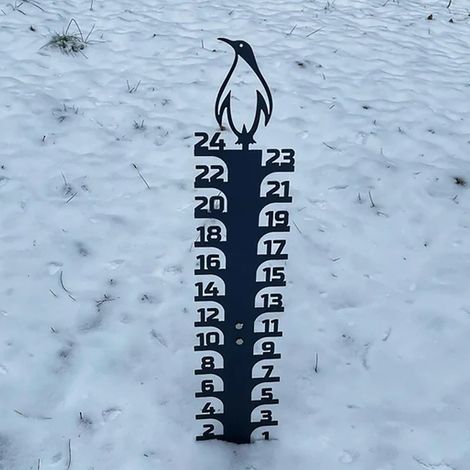 Snow Gauge - Metal Snow Depth Measuring Tool - Outdoor Garden Courtyard Use - 1 Unit (1/5)