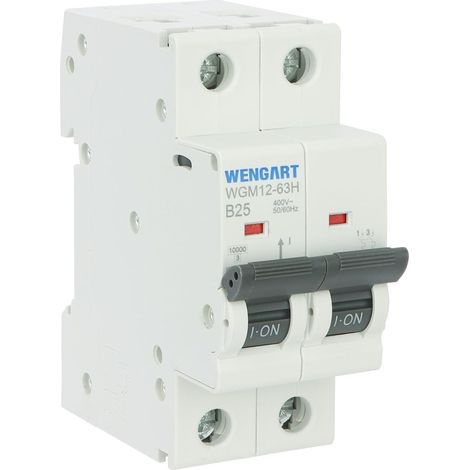 Disjoncteur Bipolaire 2P - 25A - Courbe B - AC 230V - Pouvoir de Coupure 10kA - Protection pour Lignes de Grande Longueur et Circuits Sensibles - WGM12-63H (1/5)