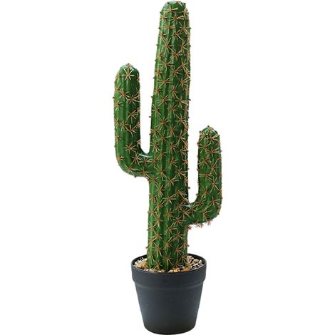 1 Pot Cactus artificiel, Mousse durable, Résistant UV, Décoration intérieur extérieur, Maison bureau hôtel