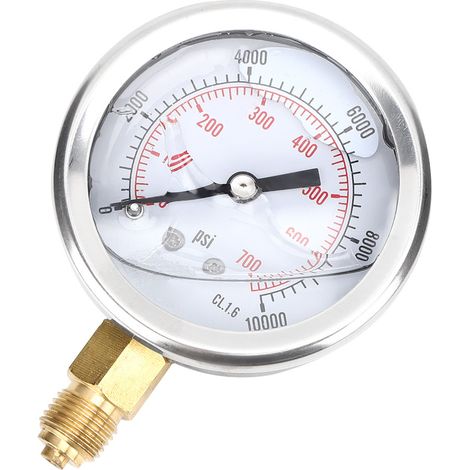 Manomètre radial TS® PGG604® 700 bar 1/4 BSP Y60 pour la mesure de la pression domestique (1/5)