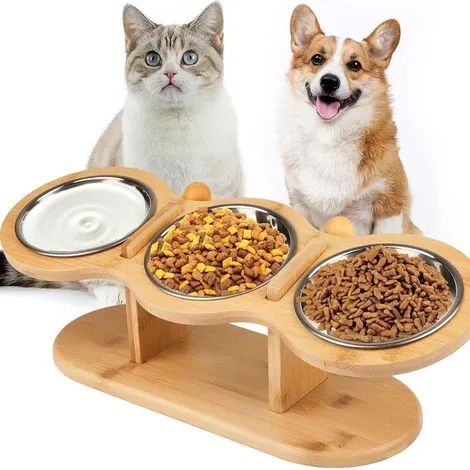 Gamelle surélevée inclinée à 15° pour chat avec 3 bols en acier inoxydable, ensemble repas multifonctionnel pour animaux de compagnie (1/3)