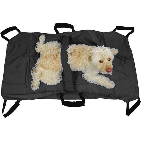 1 - Civière Pliable - Support Dorsal - 6 Poignées De Transport - Pour Chiens âgés Ou Blessés Jusqu&39à 60 kg - Hôpital Vétérinaire - Noir - 120x74 cm (1/5)