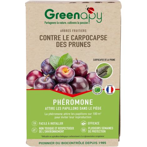 Phéromone Carpocapse des prunes – Insecticide biologique – Certifié traitement plante – 2 capsules pour piégeage ciblé – Biotop
