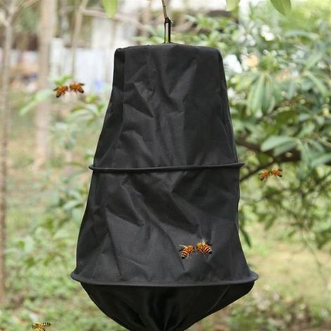 Cage à Abeilles Piège à Essaim, Outil pour Apiculteur, Attrape-Essaim, Outil de Capture, Fournitures pour Apiculteur (1/5)