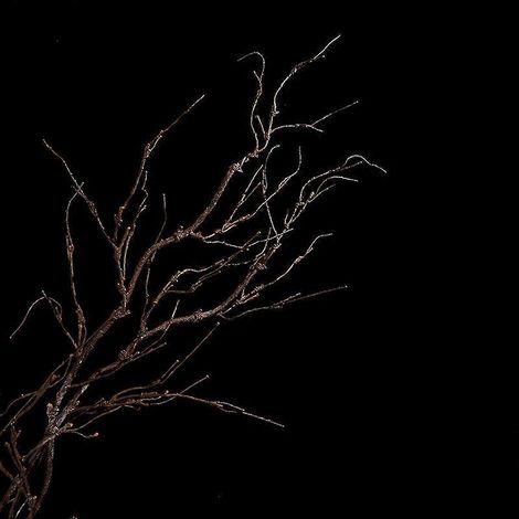 1 branche de vigne artificielle réaliste de 160 cm à monter soi-même, plante artificielle, tronc d'arbre, décoration murale (1/5)