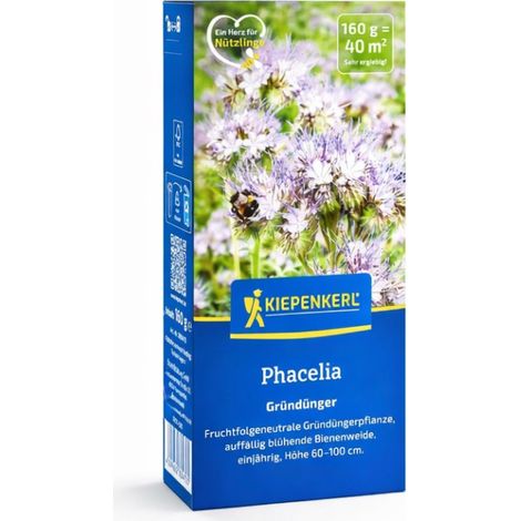 Kiepenkerl Gründünger Phacelia für ca. 40 m² (1/2)