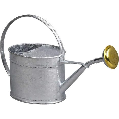 1 Arrosoir, Métal, Gris, 1,75L, Jardin