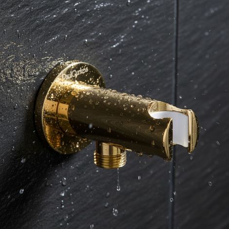 Support mural PaulGurkes pour douche en or