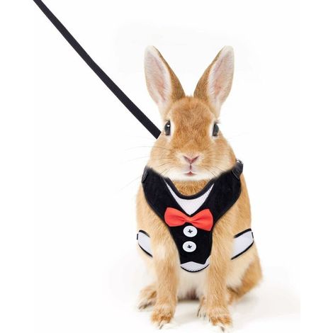Harnais pour Lapins, Dos à Nœud Papillon Respirant et Décontracté, Réglable Harnais pour Petits Animaux, Convient pour Les Promenades (Noir, 25-40cm)——, (1/5)