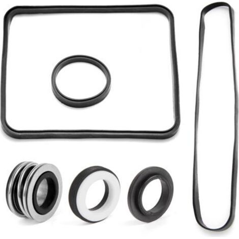 Kit de joints Super Pump pour SP2600 SP1600 SP2600X 1600 1600X Compatible avec les modèles Normal/X/VSP
