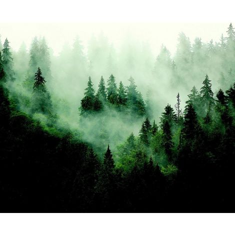 Papier peint foret d'arbre avec brouillard 225 x 270 cm (1/3)