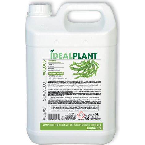 Shampoing aux algues marines IdealPlant : 5L