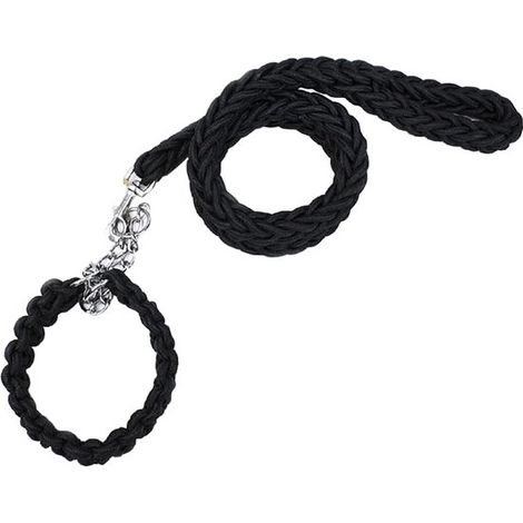 Ensemble collier et laisse pour chien, 1,5 m x 3 cm, corde tressée de haute qualité avec collier de dressage martingale, tour de cou 50-60 cm, pour chiens de petite et moyenne taille (1/5)