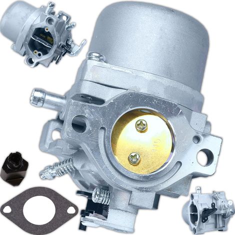 Carburateur pour Briggs &amp Stratton 498231, 499161, 799728. 494392, 494502, 284777