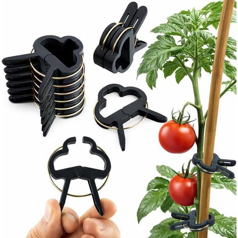 Dailygoods Pflanzenclips 60x Wiederverwendbar Einfache Befestigung Stütze für Kletterpflanzen für Tomaten/Gurken Natürliches Design Pflanzenhalte (1/5)
