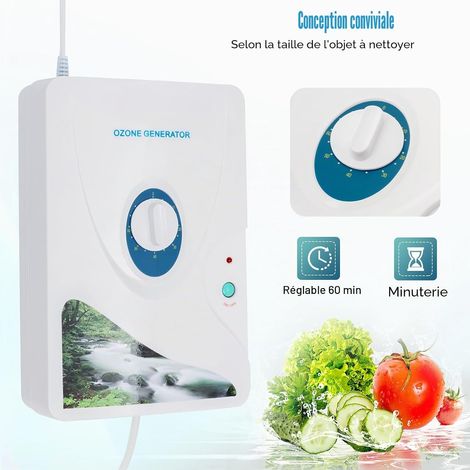 Générateur d'ozone 600 mg/h, purificateur d'air générateur d'ozone 220 V, stérilisateur d'eau, générateur d'ozone, pour purifier les impuretés de l'eau, purifier l'air et éliminer les odeurs (1/5)