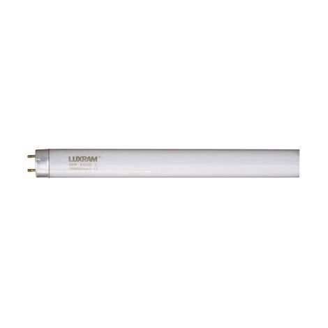 Meine Lampe - Bomb.eco.e14-9w Superminiespiral 4000k
