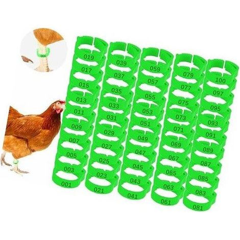 100 bagues de baguette de poulet vert avec boucle d’étiquette numérique anneau réglable pour baguette de poulet, (1/5)