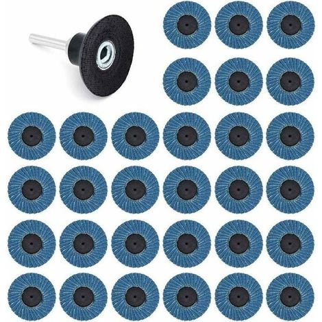 Lot de 31 Disques Abrasifs 2 Pouces 50mm, 40 Grit, 60 Grit, 80 Grit, Disques Lamelles Odipie (1/4)