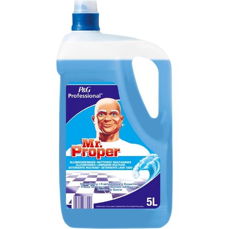 Nettoyant Multi-Usages Bidon de 5L - Procter & Gamble France
