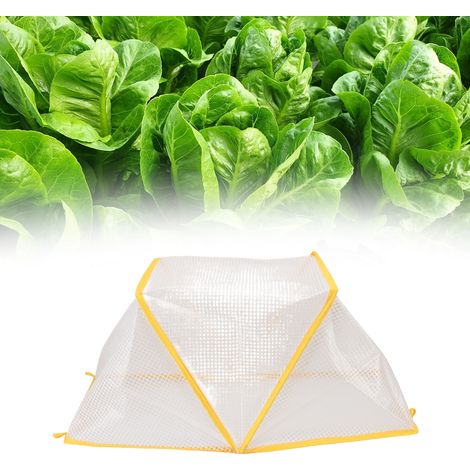 Protecteur de Plantes PVC Couverture de Serre de Jardin Élévé Accélérateur de Rang Potager à Montage Rapide avec 4 Piquets (1/5)