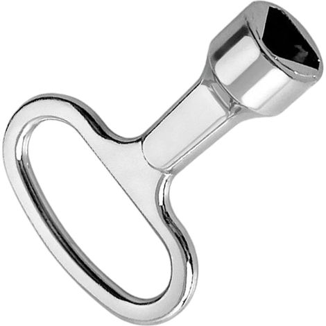 Clé triangulaire Outil de Noyau Cerradura pour Panneau (1/5)