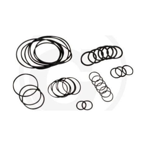 O-Ring-Satz bis Serien-Nr. 1801913999 für Membranpumpe AR 813 ANNOVI 6702376