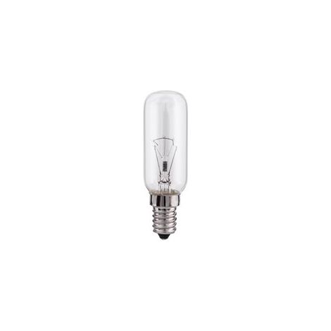 10 Ampoule Tubulaire Incandescent Claire 25w E14