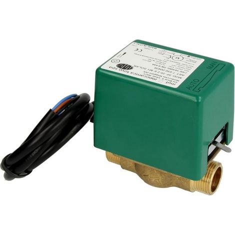 Vanne de zone 2 voies solaire MUT 3/4'' FM avec microrupteur auxiliaire