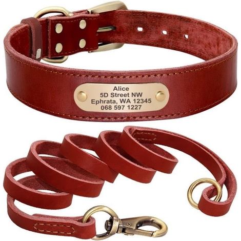 (Rotes Set / XS) Personalisierbares Hundehalsband aus Leder, Set mit Leine und Namensschild (1/4)