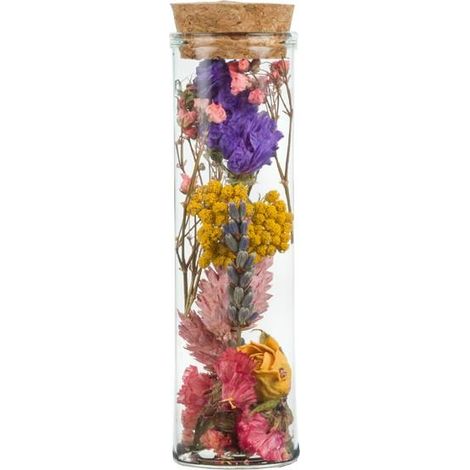 Lot de 12 Bouteilles de Fleurs Séchées Multicolores Décoration Intérieure 10 cm - PANGIVO