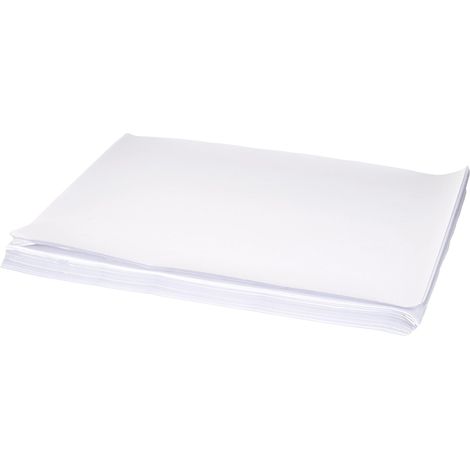 Set di tovagliette papstar 12555 usa e getta 300x400 mm (1/4)