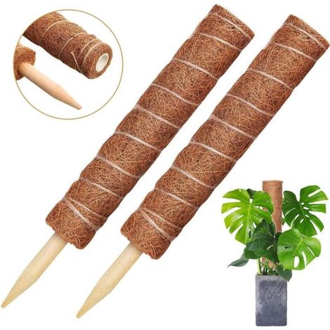2 pièces Tuteur Plante Tuteur Coco, 30cm/40cm Plante Poteau Bâton De Coco,Totem Poteau Totem en Fibre de Coco pour Plantes Grimpantes et Plantes d'intérieur (40cm)- (1/4)