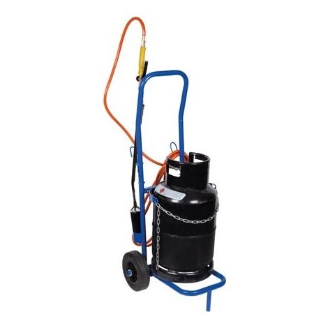 Toolland Carrito para bombonas de Gas 100 kg Cadena Ajustable Acero Inoxidable Ruedas 20 cm para propano butano barriles de Cerveza Interior Exterior