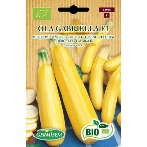 Germisem Bio Graines Courgette jaune OLA GABRIELLA (1/2)