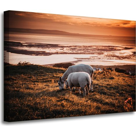 Stampa su tela Animali al pascolo Pecore 70x50