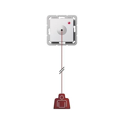 GIRA 291203 AVEC INTERRUPTEUR À TIRETTE SYSTEM 55 BLANC PUR
