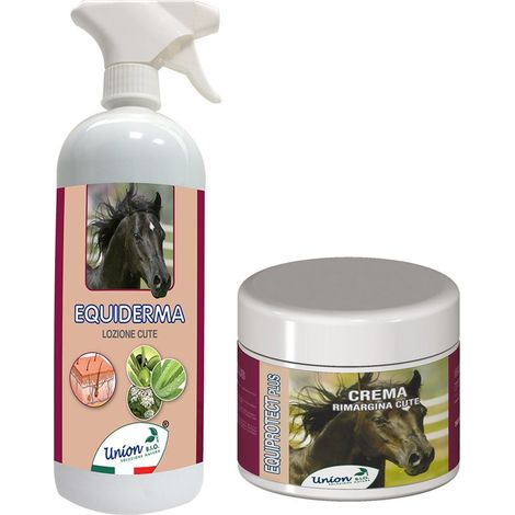 SANTÉ HUMIDE ET LESIONS DU CHEVAL : Equidermis anibactérien et antifongique più equiprotect plus crème pour les lésions et les dermatites