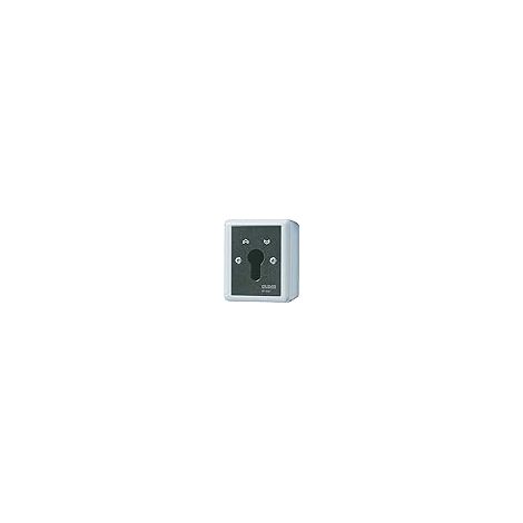 Jung Interruptor de llave, interruptor universal apagado-conmutado, 2 polos, IP 44, WG 800 806.28 G