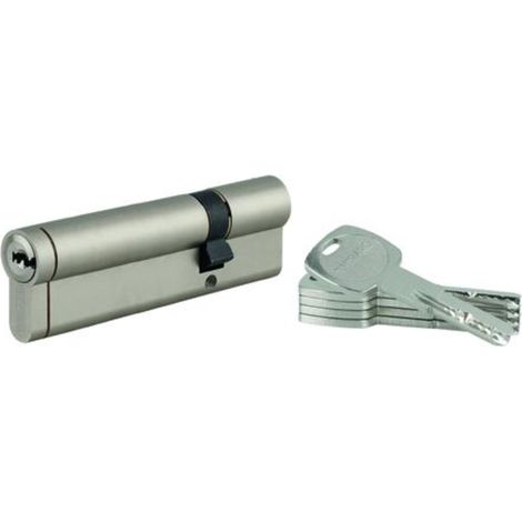 THIRARD - Lot de 10 cylindres Transit 1 double entrée 30x90mm, nickelé, 5 clés - THIRARD (1/5)