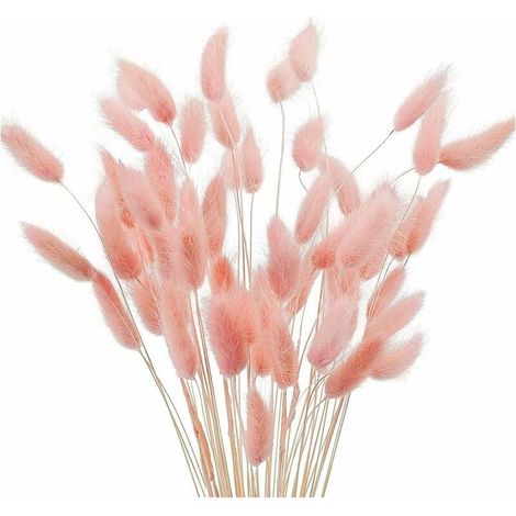 50 Herbe de la pampa, 40 cm, fleurs séchées naturelles, décoration bohème, mariage, intérieur, rose (1/5)