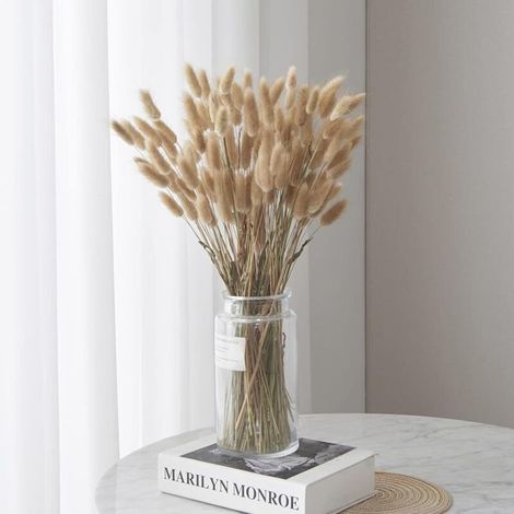 Bardusch-60 pièces pampas naturelles + queues de lapin 50-60 cm, décoration mariage, anniversaire, maison (1/5)
