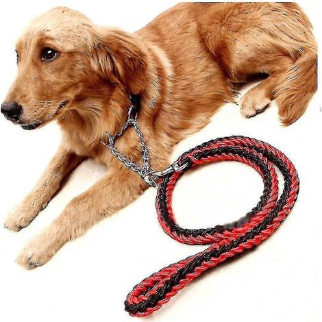 Laisse Hmwy-dog pour grands chiens, laisse réfléchissante en corde, collier et harnais pour chien, laisse de course en nylon