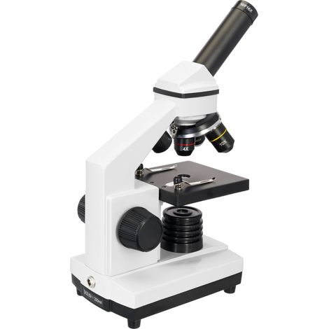Microscopio Levenhuk Rainbow 2L PLUS