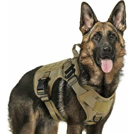 MINE Harnais Tactiques pour Chien M Marron, Gilets à Anneaux pour Chiens de Travail Militaires, Harnais Militaires Chien d’Entraînement sans Tension, avec Pinces à Sangle pour Randonnée et Chasse-L zh (1/5)