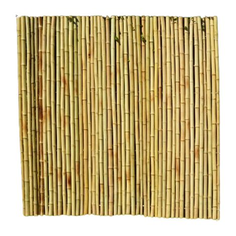 Roll Screen for Garden Fencing - Bamboo - L200 x W3 x H200 cm - Moso