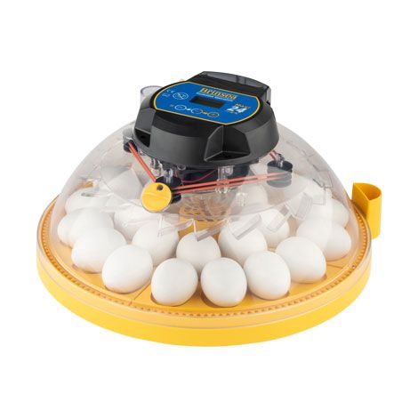 Incubadora BRINSEA MAXI 24 EX - Capacidad para 24 huevos de gallina/pato o 40 huevos pequeños - Volteo automático - Control automático de la humedad