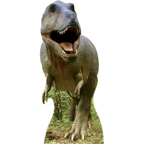 Figurine en carton Tyrannosaurus Rex 186 cm (1/4)